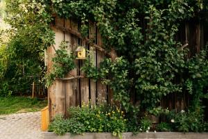 Hallstatt-Haus Elfriede