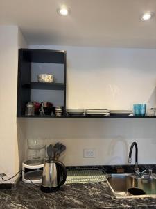 Isla privada en Tigre - Monoambiente con vista