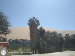 Hospedaje con vista ala laguna de huacachina refugio en el oasis