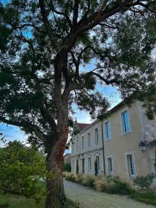 B&B / Chambres d'hotes Chateau Bernon Maison d Hotes - Piscine et SPA : photos des chambres