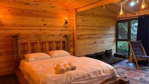 AYDER SİS DAĞ EVLERi