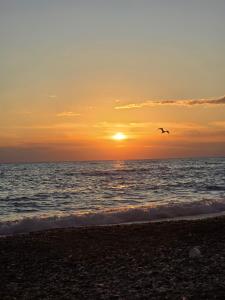 Casetta 28 passi dal mare