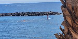 Canela Tenerife Apartment