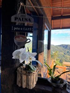 Cabana do Louro - Sítio Araucárias