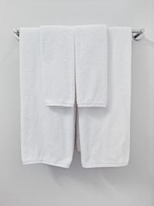 South Loop Rooftop With In and Out Parking 2