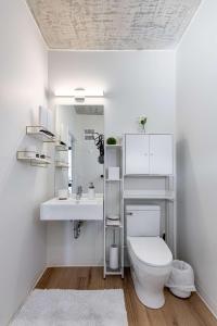 South Loop Rooftop With In and Out Parking 2