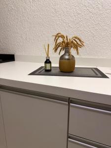 Duplex Acolhedor - Duas quadras do Mar Centro