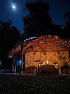 Exclusive Treehouse and Cenote - Sweet Jungle Dreams