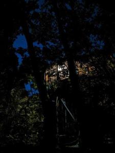 Exclusive Treehouse and Cenote - Sweet Jungle Dreams