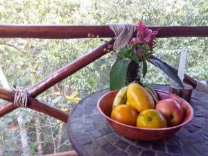 Exclusive Treehouse and Cenote - Sweet Jungle Dreams