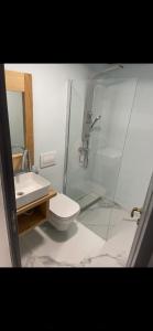 Central apartment Oradea