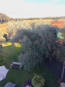 Agriturismo la Canonica