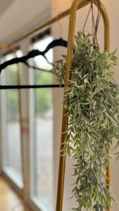 NEW Tendaka Stylish Hideaway