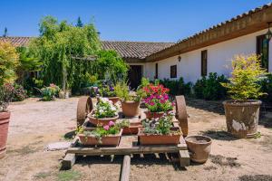 Centro Campestre Pequeño Faisán