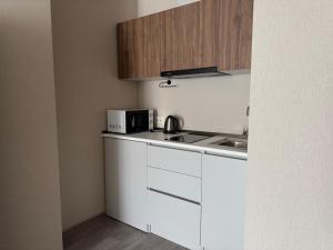 Bakuriani Crystal Loft Apt