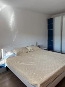Comfortable & Bright 1-Bedroom Apartment with Mountain View & Free Parking