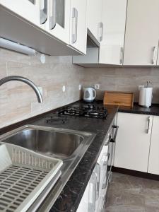 Comfortable & Bright 1-Bedroom Apartment with Mountain View & Free Parking