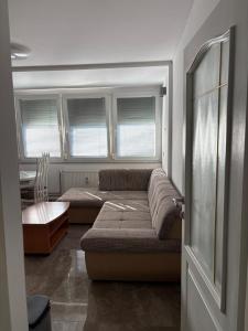 Comfortable & Bright 1-Bedroom Apartment with Mountain View & Free Parking