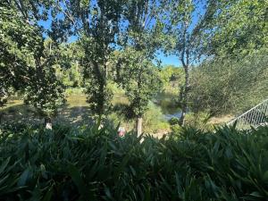 Résidence Lac - Appartement 1 chambre en rez de jardin dans le domaine de la Coudoulière MAE-1033