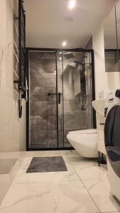 Apartament w Lubomierzu