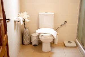 ROOFTOP HIDEAWAY, JACUZZI, BBQ & PETss