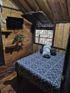 Cabaña de montaña Queca