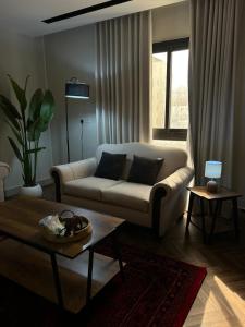 Elegant classic apartment