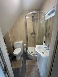 Modern 1BR Flat near Wembley Stadium