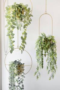 12 Calming Coral Beach Beautiful 2BRM