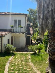 Clorofilla - Country House