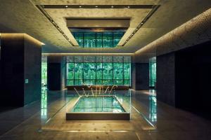 THE AMNIS, a Luxury Collection..