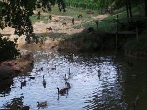 Maisons de vacances Holiday Home in Monprimblanc with Pool & Vineyards : photos des chambres