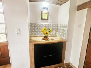 Gîte authentique en Touraine, piscine chauffée, animaux admis - FR-1-381-632