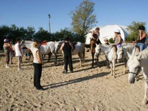 Chalet 35m² avec Terrasse à Lons-le-Saunier - API-1-52-250