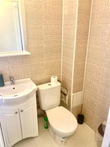 Garsoniera ultracentrală1