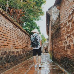 Head of Old Quater - CHEAP - Sharewc