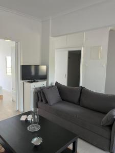 Argo Beach House Hanioti