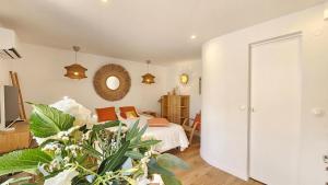 Appartements Splendide Studio parking clim terrasse : photos des chambres