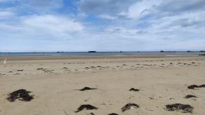 Appartements Le Belle Vue d-Asnelles chez Lisa & Clement : photos des chambres