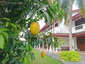 Mango Villa Bentota