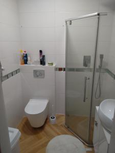 Apartament 1