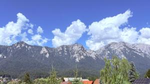 Venus - Apartamente de închiriat