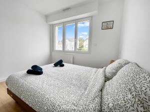 Appartements Evasion paisible Bretagne sud au coeur dAuray : photos des chambres
