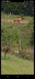 Rural Household Baltic