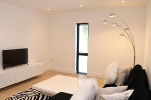 The Hidden Sanctuary