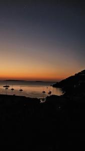 Appartements Vue baie a 5min de la plage 44m² avec parking : Appartement 1 Chambre