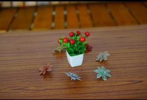 The Rose Valley, Kodaikanal