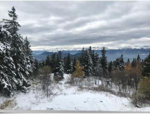 Appartements Appartement 6 couchages aux pieds des pistes : photos des chambres