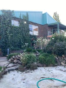 Doringdraad Lodge Room Rafiki