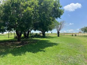 Doringdraad Lodge Room Rafiki